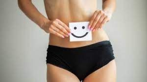 The Relationship between Gut Health and Menopause?