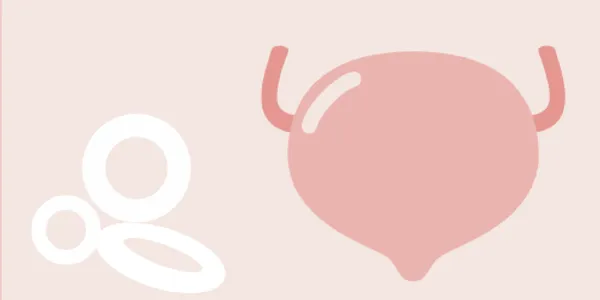 women’s health resource library